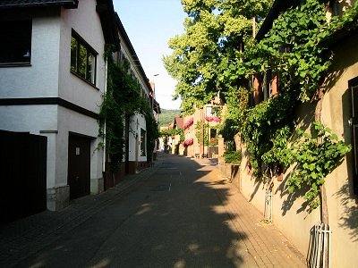 Bobenheim Juli04 01a